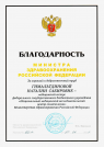 Благодарность Министра здравоохранения Российской Федерации (2021 г.) — Гимальтдинова Наталия Сабировна